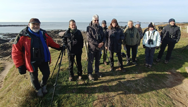 Comptage Wetland à l'étang de Priziac et à la Presqu'île de Rhuys